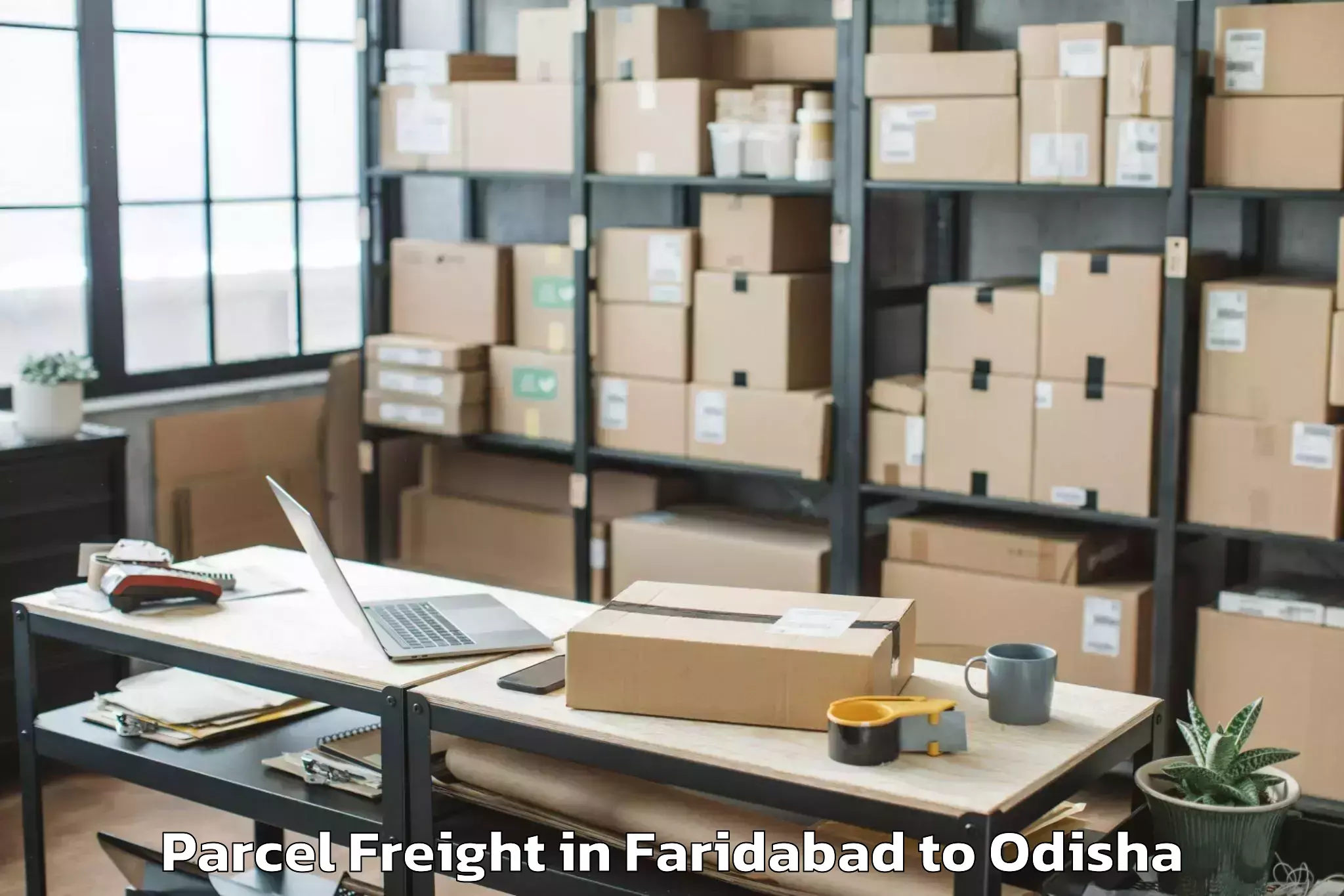 Efficient Faridabad to Golamunda Parcel Freight